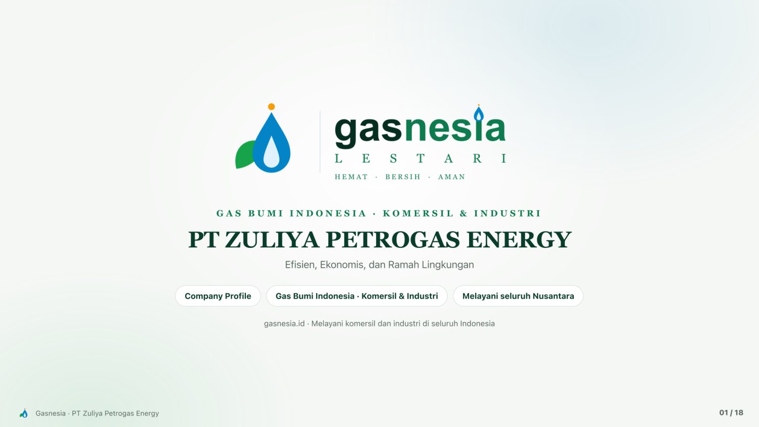Paparan Gasnesia lembar 1